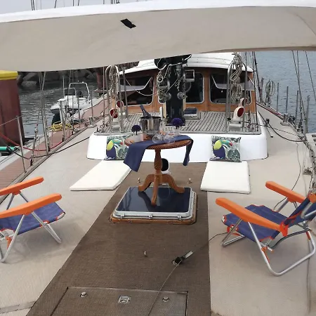 Botel Sooty Albatros